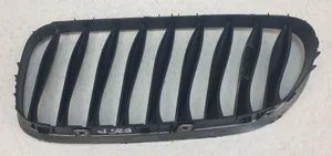 BMW Z4 E85 E86 Atrapa chłodnicy / Grill 