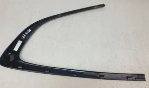 BMW 5 GT F07 Rear door glass trim molding 7196420