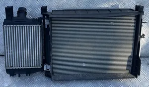 Dacia Lodgy Coolant radiator 