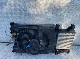 Dacia Lodgy Coolant radiator 