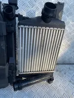 Dacia Lodgy Coolant radiator 