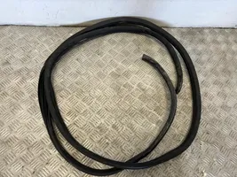 Renault Trafic III (X82) Front door rubber seal 