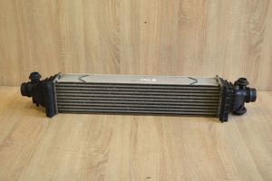 KIA Stinger Intercooler radiator S209