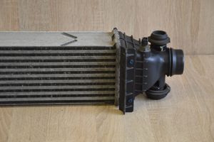 KIA Stinger Intercooler radiator S209