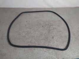 Volkswagen Touran I Front door rubber seal 