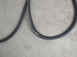 Volkswagen Touran I Front door rubber seal 