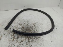 Volkswagen PASSAT CC Front door rubber seal 