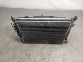 Renault Megane I Kit Radiateur 