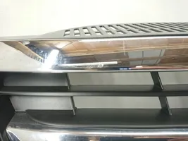 Volkswagen Phaeton Atrapa chłodnicy / Grill 