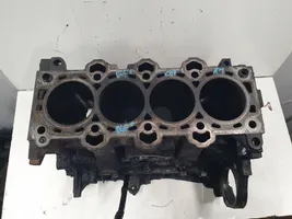 KIA Sportage Motorblock 