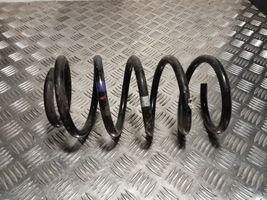 Hyundai Santa Fe Rear coil spring 