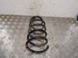 Hyundai Santa Fe Rear coil spring 