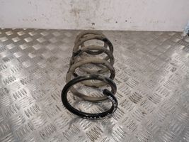 Hyundai Santa Fe Rear coil spring 