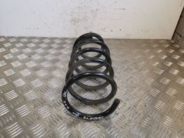 Hyundai Santa Fe Rear coil spring 