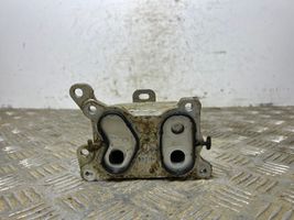 Nissan Qashqai Öljynsuodattimen kannake 213055917R