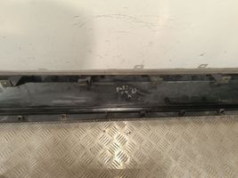 Dodge Durango Sill 