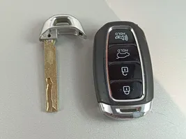 Hyundai Santa Fe Ignition key/card 