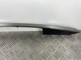 Hyundai Santa Fe Tailgate trim 