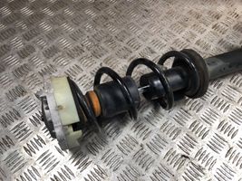 Audi A4 S4 B9 Front shock absorber with coil spring 