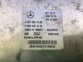 Mercedes-Benz SLK R172 Sterownik / Moduł ECU A6519007500