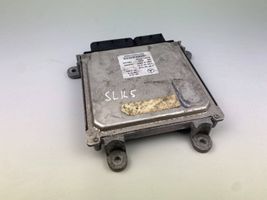 Mercedes-Benz SLK R172 Sterownik / Moduł ECU A6519007500