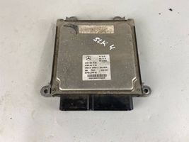 Mercedes-Benz SLK R172 Sterownik / Moduł ECU A6519007500