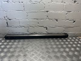 Mercedes-Benz S C217 Front sill trim cover A2176800135