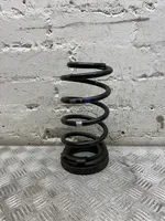 Hyundai Santa Fe Rear coil spring 