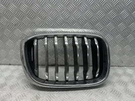 BMW X3 G01 Front grill 8091726