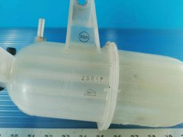 Toyota Hilux (AN10, AN20, AN30) Serbatoio di compensazione del liquido refrigerante/vaschetta 164700L013
