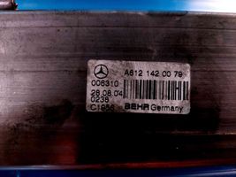 Mercedes-Benz ML W163 Refroidisseur de vanne EGR A6121420079