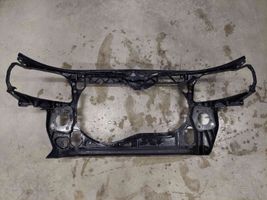 Seat Exeo (3R) Radiatoru panelis (televizors) 8E0805594E