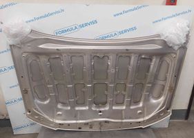 Toyota Land Cruiser (J200) Vano motore/cofano 7456725041