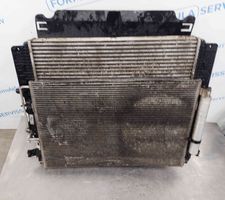 Volkswagen Crafter Radiator set 9065050655