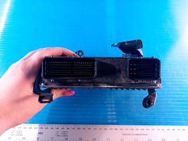 Toyota Sienna XL40 IV Sterownik / Moduł ECU 8966108701