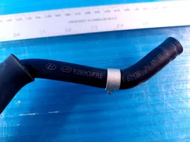 Hyundai Ioniq Engine coolant pipe/hose R289CWFAB