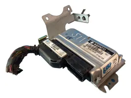 Hyundai Getz Sterownik / Moduł ECU 3910626450