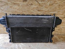 Volvo XC60 Dzesēšanas šķidruma radiators 31338475