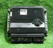 Toyota Camry Sterownik / Moduł ECU 8966106C71