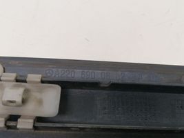 Mercedes-Benz S W220 Rear door trim (molding) A2206900863