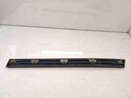 Mercedes-Benz S W220 Rear door trim (molding) A2206900863