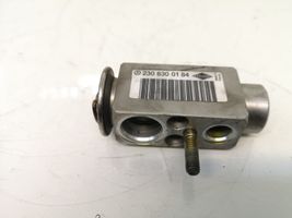 Mercedes-Benz E W211 Valvola ad espansione dell’aria condizionata (A/C) 2308300184