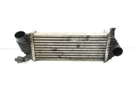 Renault Kangoo II Radiatore intercooler 8200427469