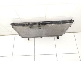 Hyundai H-1, Starex, Satellite Coolant radiator 253104H100