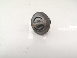 Hyundai H-1, Starex, Satellite Thermostat 