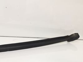 Citroen C6 Windshield trim 