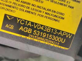 Ford Transit Poduszka powietrzna Airbag kierownicy 531915300U