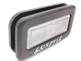 BMW X5 E70 Illuminazione sedili posteriori 0005676021