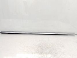 Volkswagen PASSAT B6 Rubber seal front door window/glass 3C9839475B