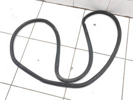 Volkswagen PASSAT B6 Front door rubber seal 3c4867911b